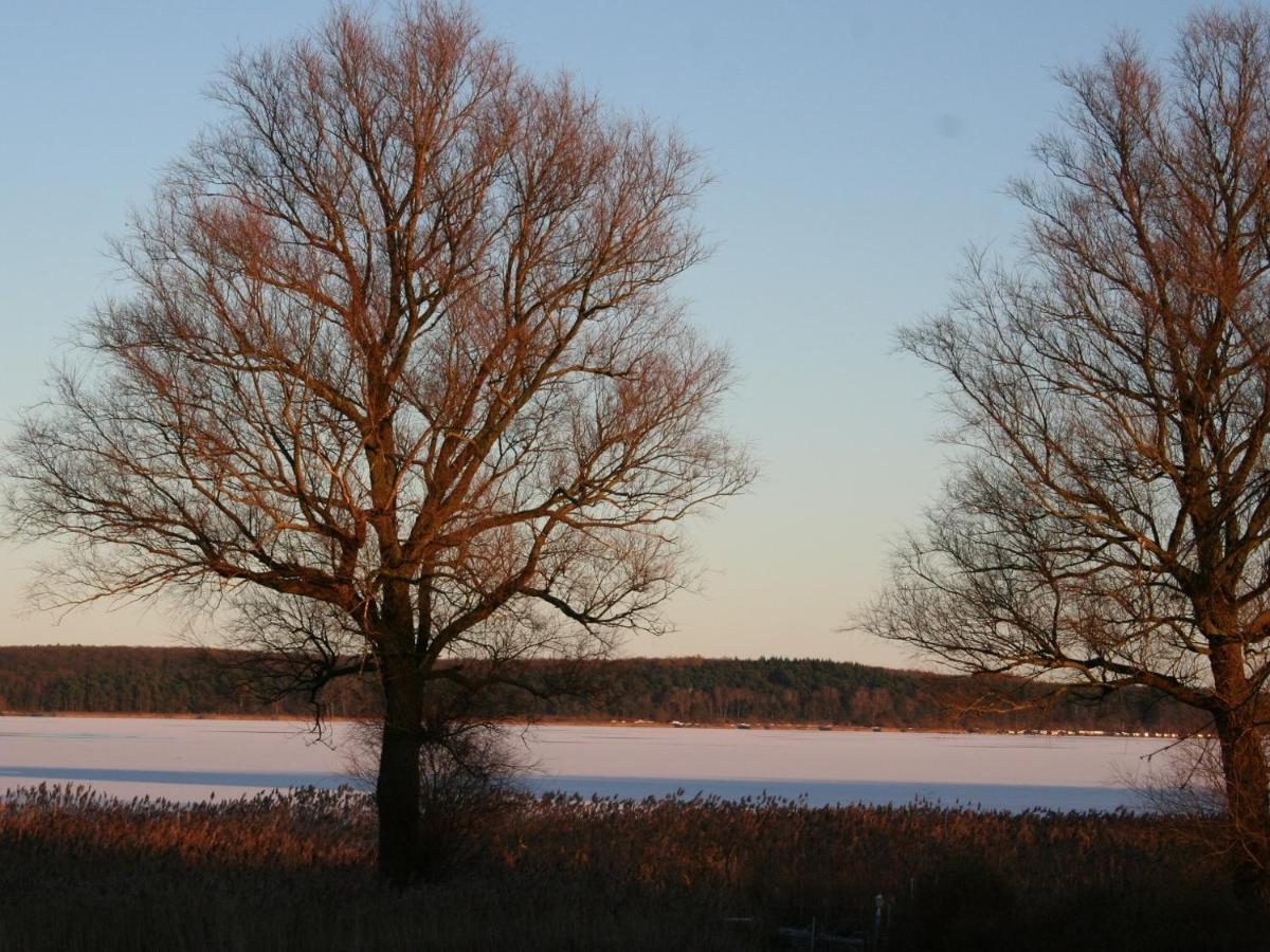 Ilonas Seeblick Lejlighed Plau am See Eksteriør billede